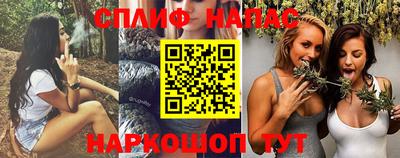 прущие грибы Нягань