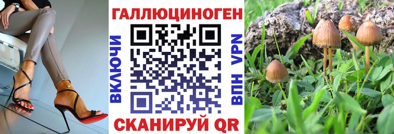 мориарти телеграм  блэк спрут онион  Шуя  Галлюциногенные грибы ЛСД 