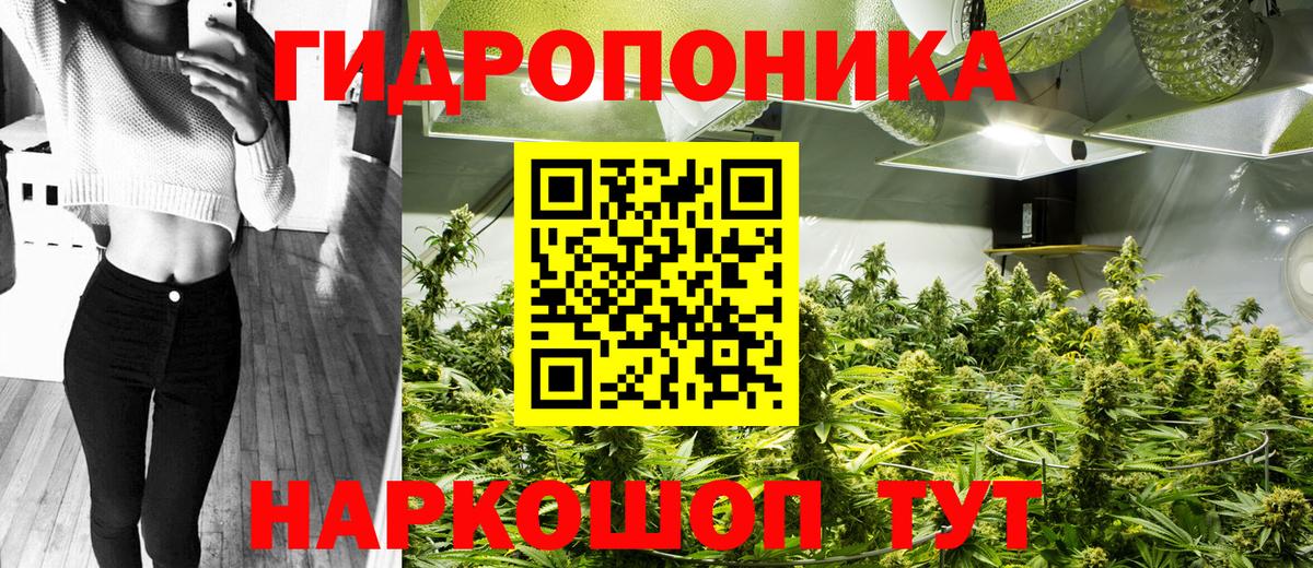 Бошки Шишки White Widow Шуя